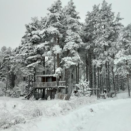 Elulong Camping Lohusuu Exteriér fotografie