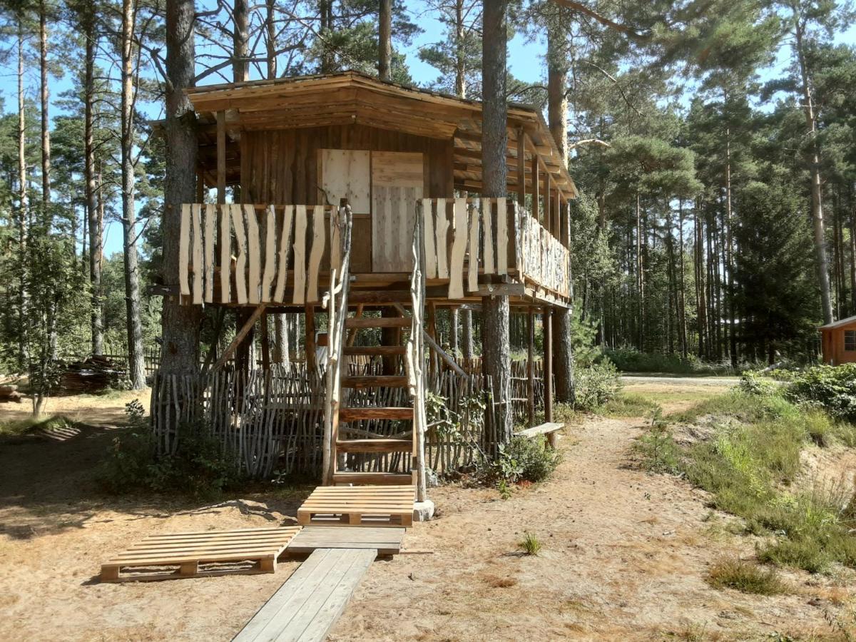 Elulong Camping Lohusuu Exteriér fotografie