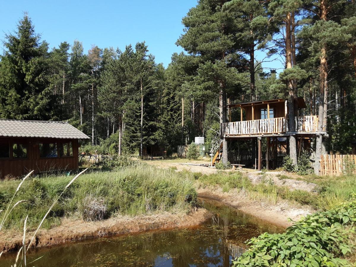 Elulong Camping Lohusuu Exteriér fotografie