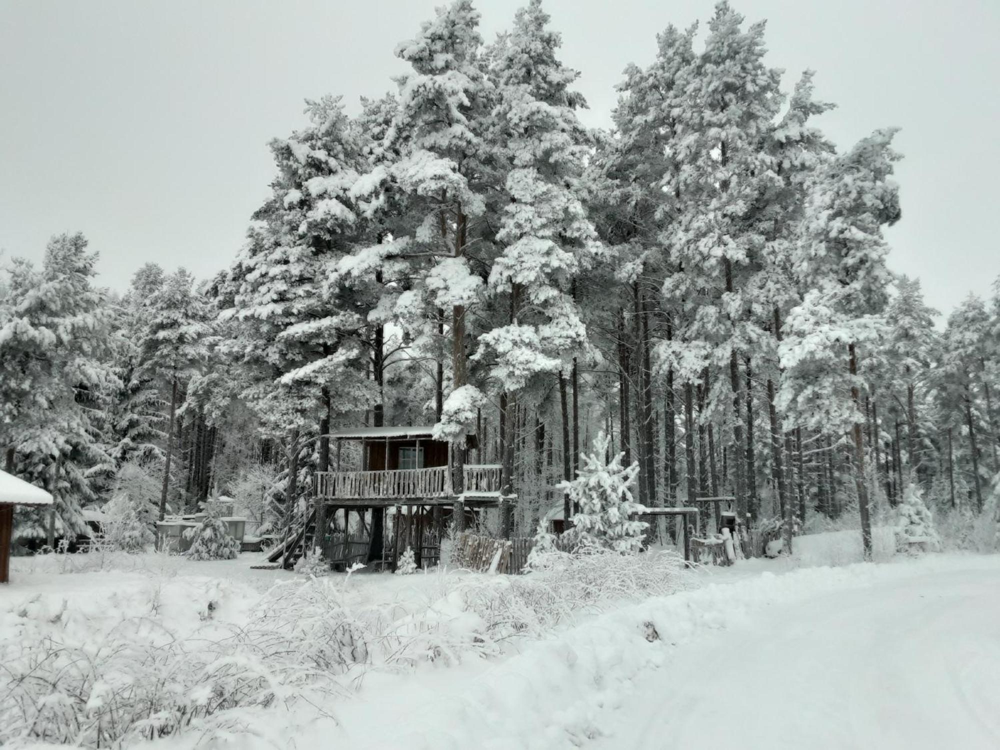 Elulong Camping Lohusuu Exteriér fotografie