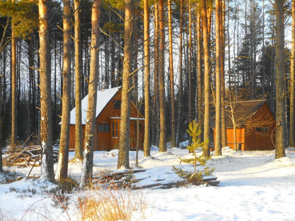Elulong Camping Lohusuu Exteriér fotografie