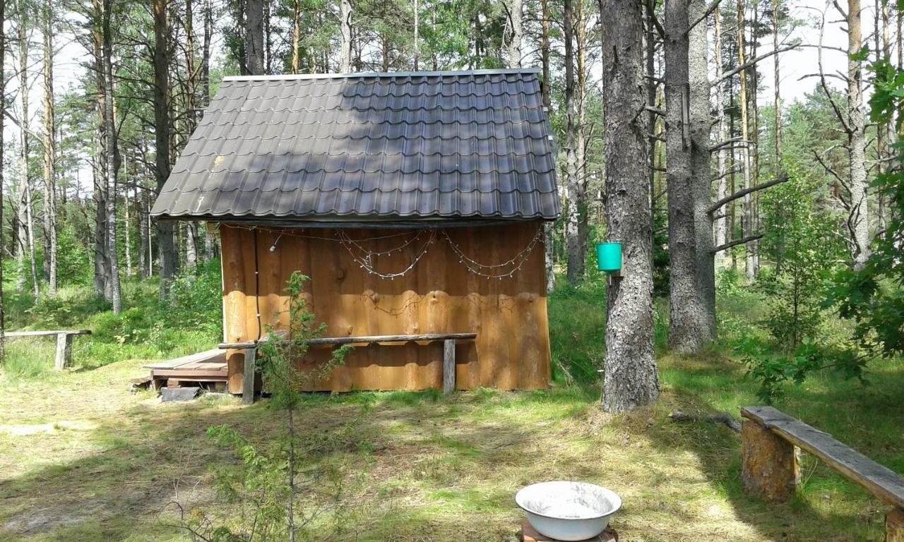 Elulong Camping Lohusuu Exteriér fotografie
